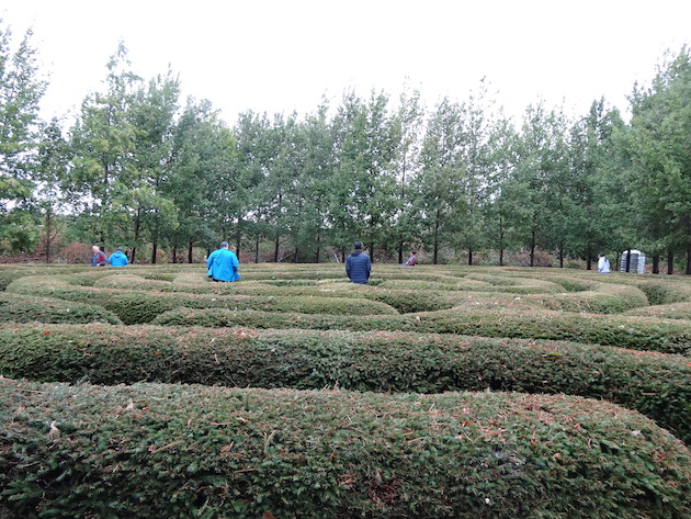 The Father's Heart Labyrinth in September 2018