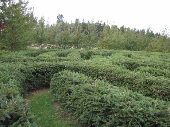 The Father's Heart Labyrinth in October 2010